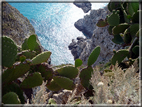 foto Mare a Tropea e Capo Vaticano